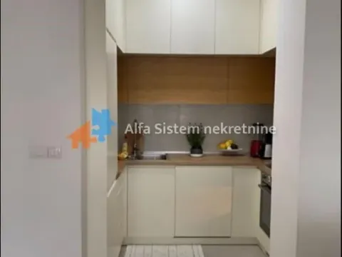 Izdavanje, dvosoban stan, 57m², Novi Beograd Sve Podlokacije, Beograd - image 3