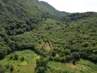 Sale, land lot, 49000m², Virpazar, Bar - image 6