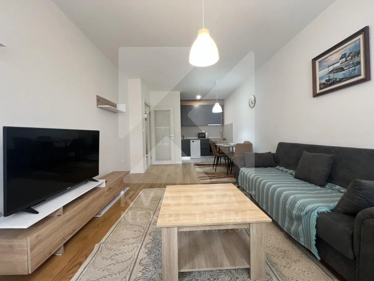 Rent, one bedroom apartment, 49m², Central Point, Podgorica