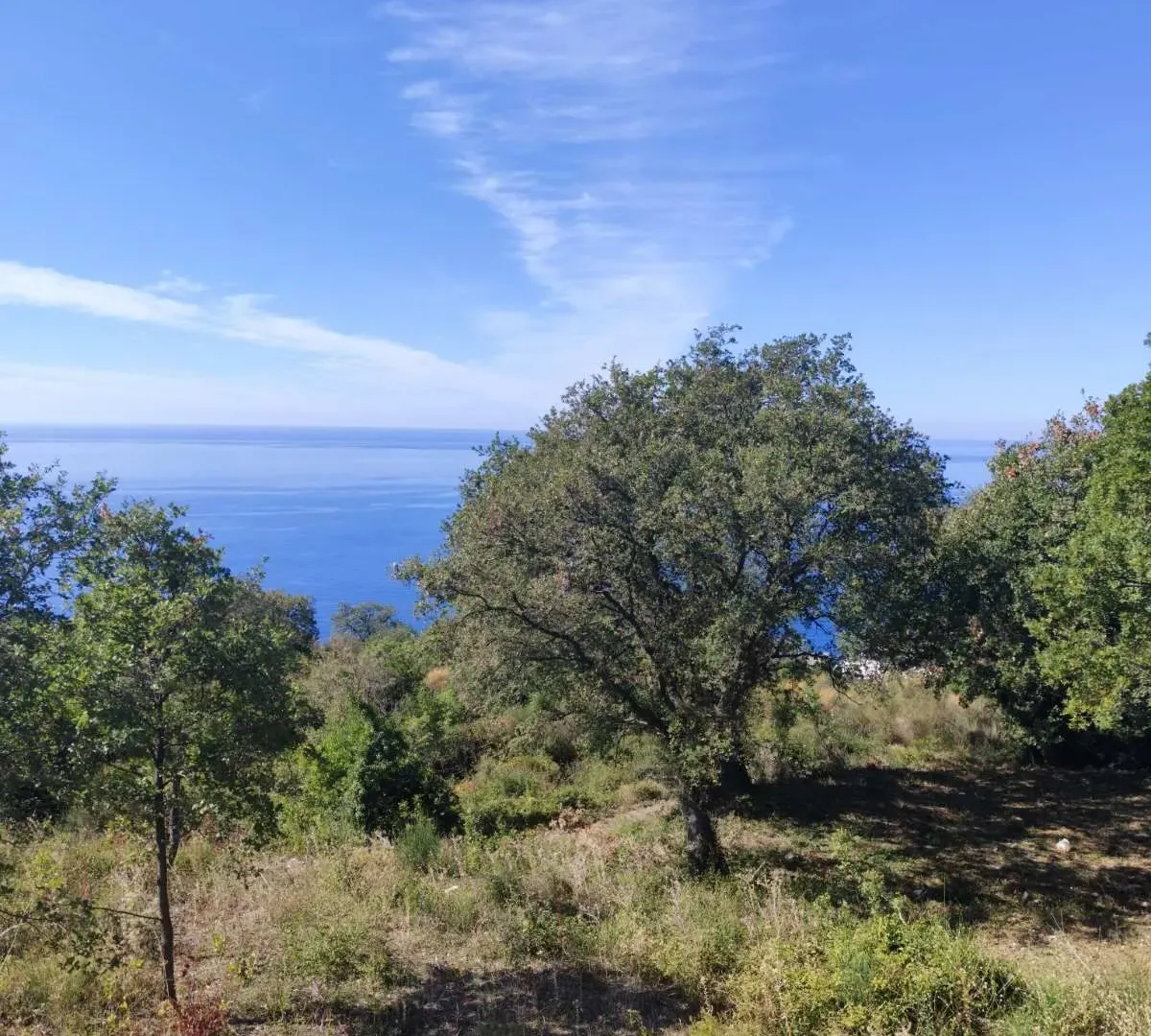 Prodaja, plac, 1227m², Dobre Vode, Bar