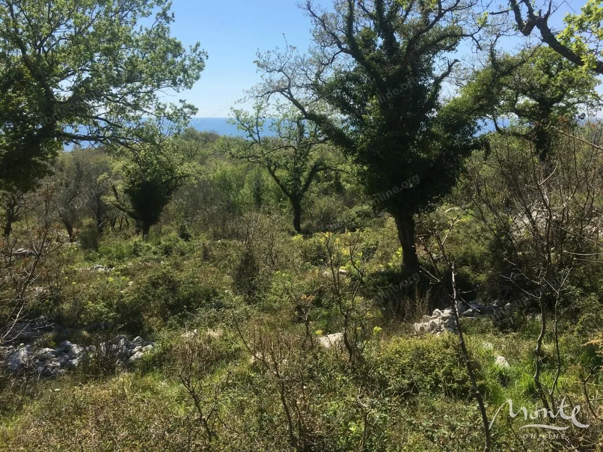 Sale, land lot, 6049m², Reževići, Budva
