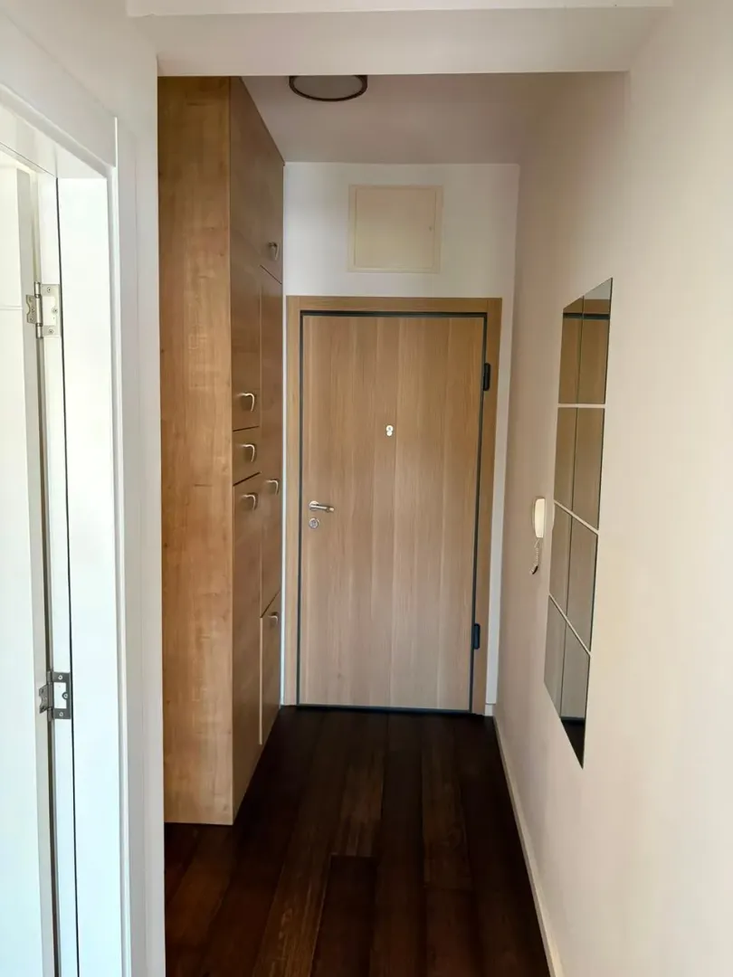 Rent, one bedroom apartment, 48m², Vezirov Most, Podgorica