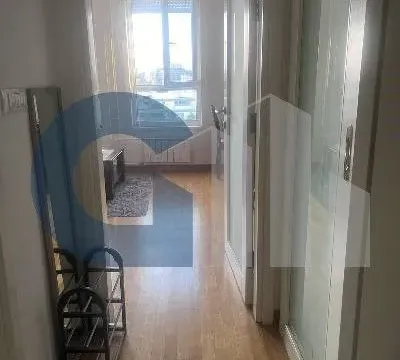 Izdavanje, garsonjera, 30m², Novi Beograd Sve Podlokacije, Beograd - image 12