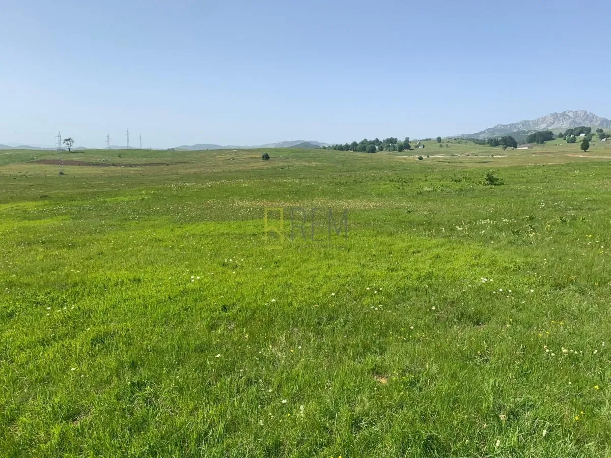 Prodaja, plac, 2000m², Pašina Voda, Žabljak