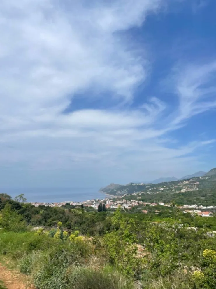 Prodaja, plac, 3000m², Dobre Vode, Bar