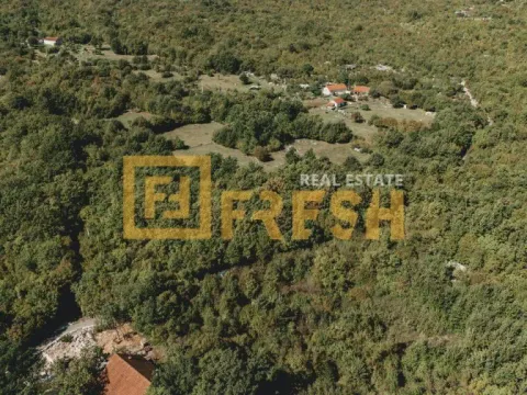 Prodaja, plac, 15000m², Danilovgrad, Crna Gora - image 2