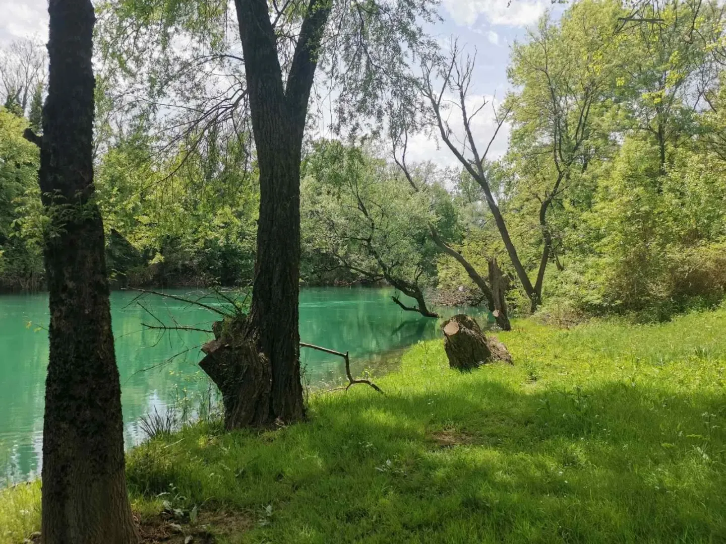 Zelena poljana pored rijeke okružena drvećem.