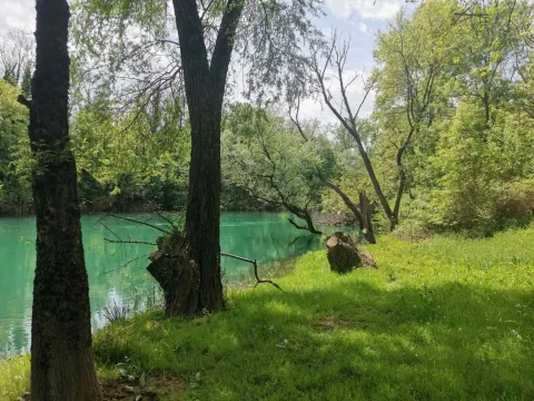 Zelena poljana pored rijeke okružena drvećem. - image 9