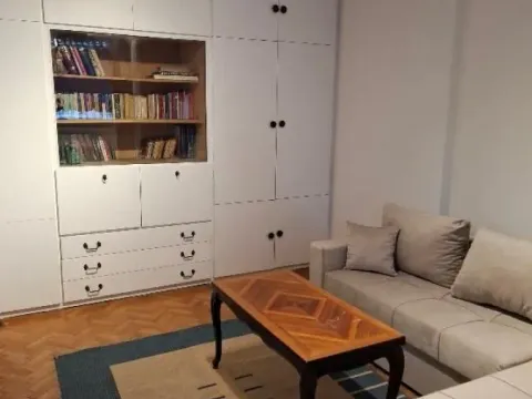 Izdavanje, jednosoban stan, 47m², Lion, Zvezdara Sve Podlokacije - image 7