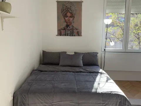 Rent, two bedroom apartment, 44m², Vukov Spomenik, Zvezdara Sve Podlokacije - image 2