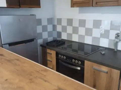 Izdavanje, trosoban stan, 150m², Jajinci, Voždovac Sve Podlokacije - image 9