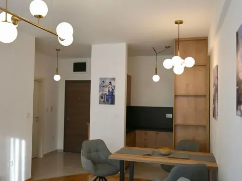 Izdavanje, jednosoban stan, 43m², Zabjelo, Podgorica - image 4