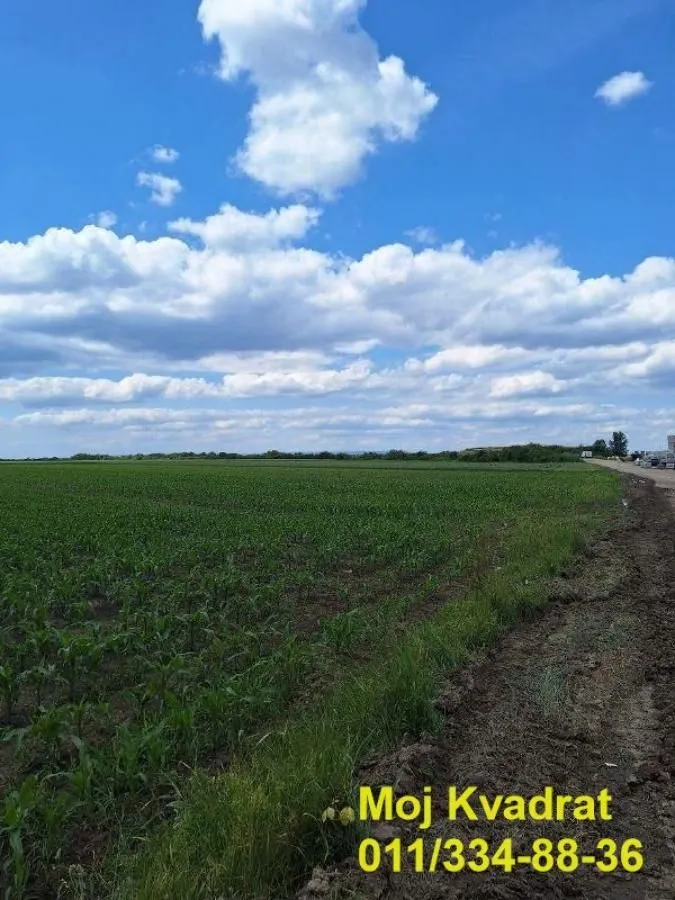 Prodaja, plac, 5100m², Šimanovci, Pećinci