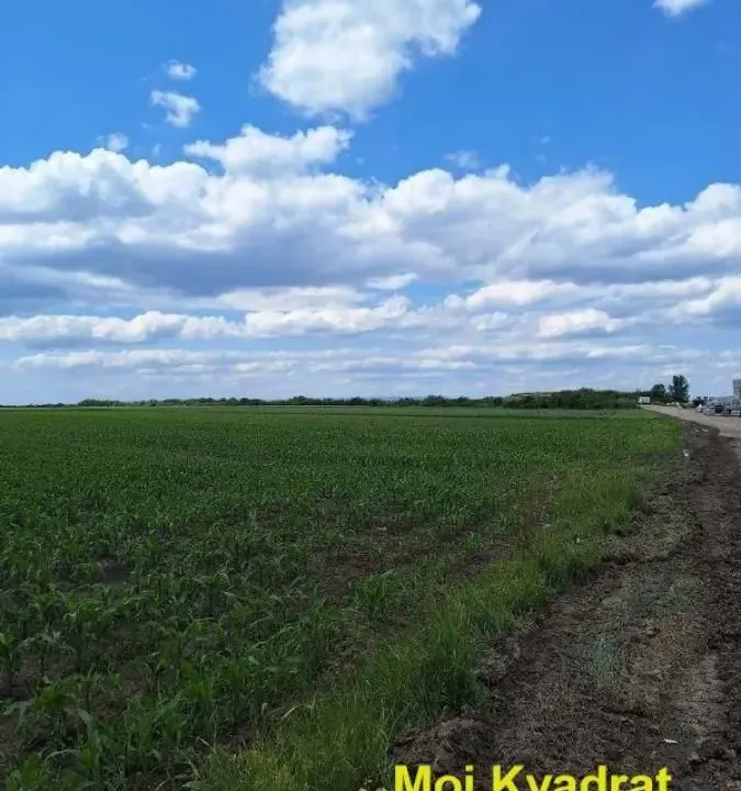 Prodaja, plac, 51m², Šimanovci, Pećinci