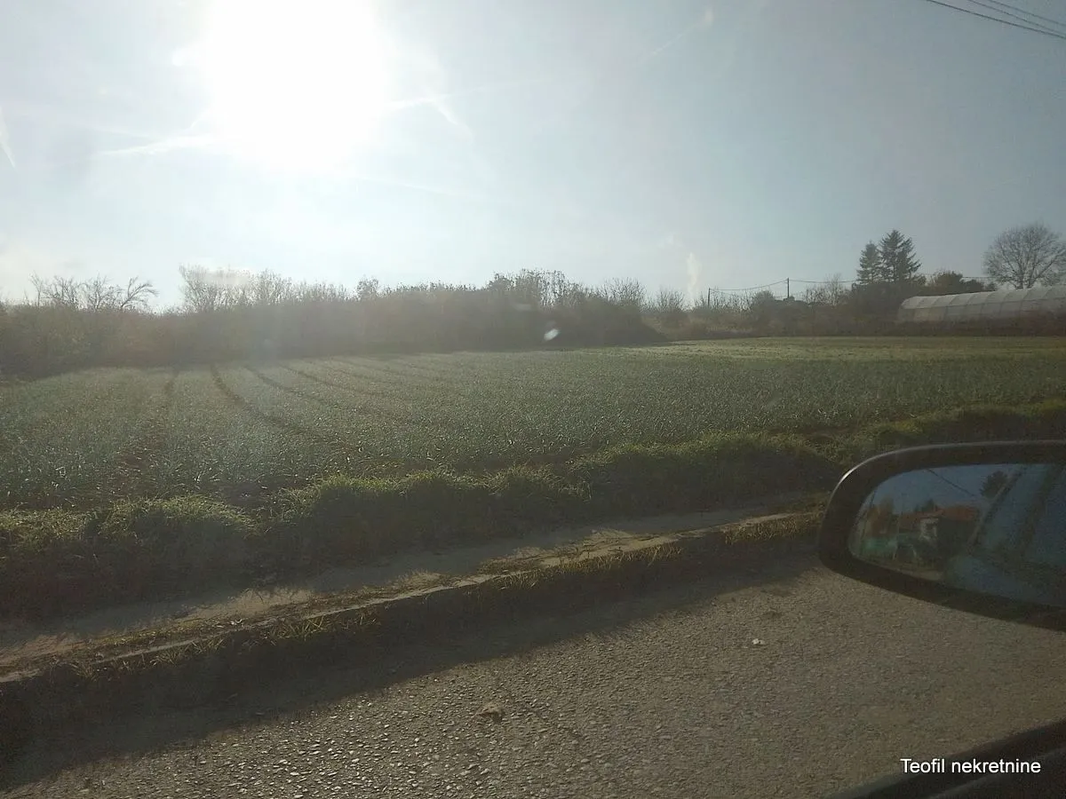 Prodaja, plac, 2600m², Palilula, Niš