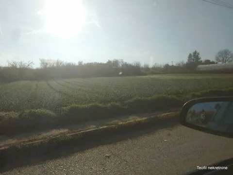 Sale, land lot, 2600m², Palilula, Niš