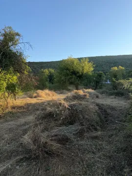 Pogled na zeleno imanje sa travom i drvećem u prirodi. - image 3