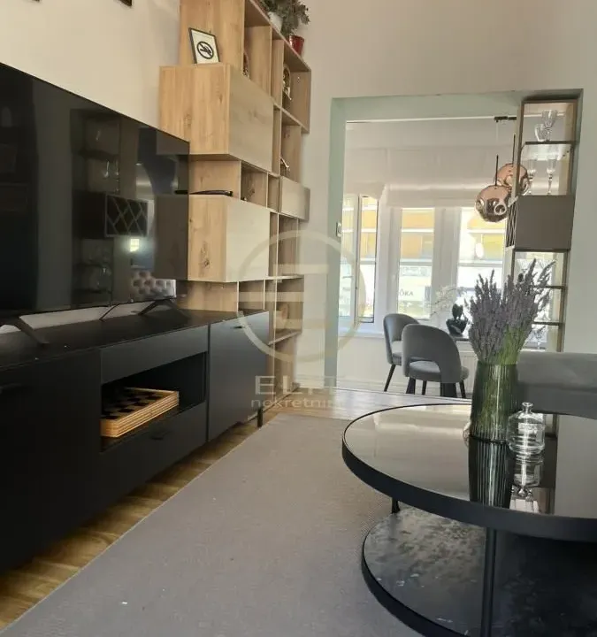 Izdavanje, dvosoban stan, 49m², Centar, Novi Sad