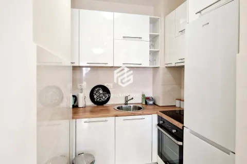Manja bijela kuhinja sa drvenom radnom pločom i ugradnim uređajima. - image 10