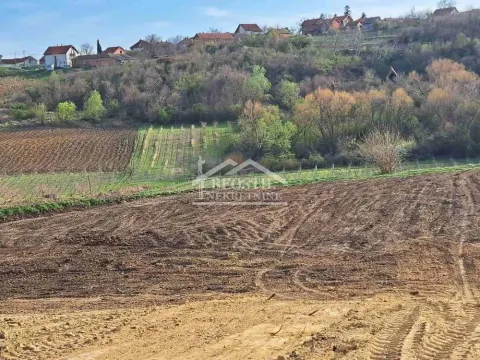 Prodaja, plac, 4966m², Brestovik, Grocka - image 12