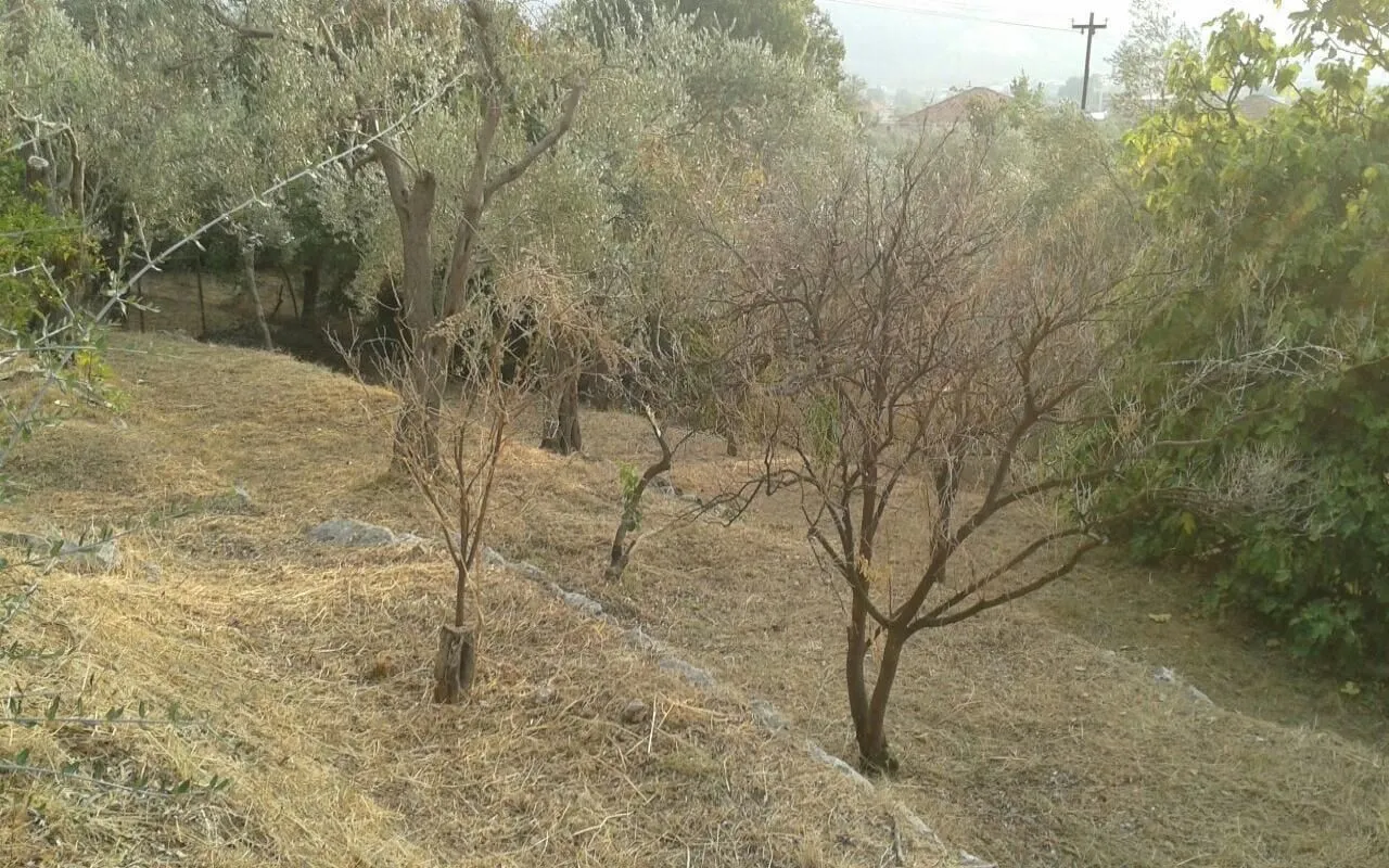 Sale, land lot, 2025m², Bartula, Bar