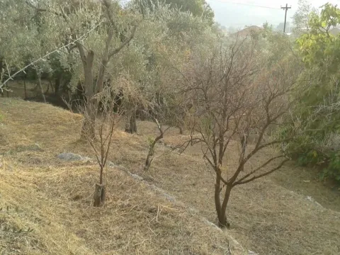 Sale, land lot, 2025m², Bartula, Bar - image 8