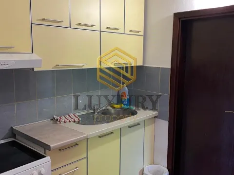 Izdavanje, jednosoban stan, 40m², Stara Varoš, Podgorica - image 3