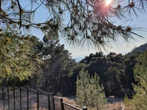 Prodaja, plac, 1028m², Zeleni Pojas, Bar - image 2