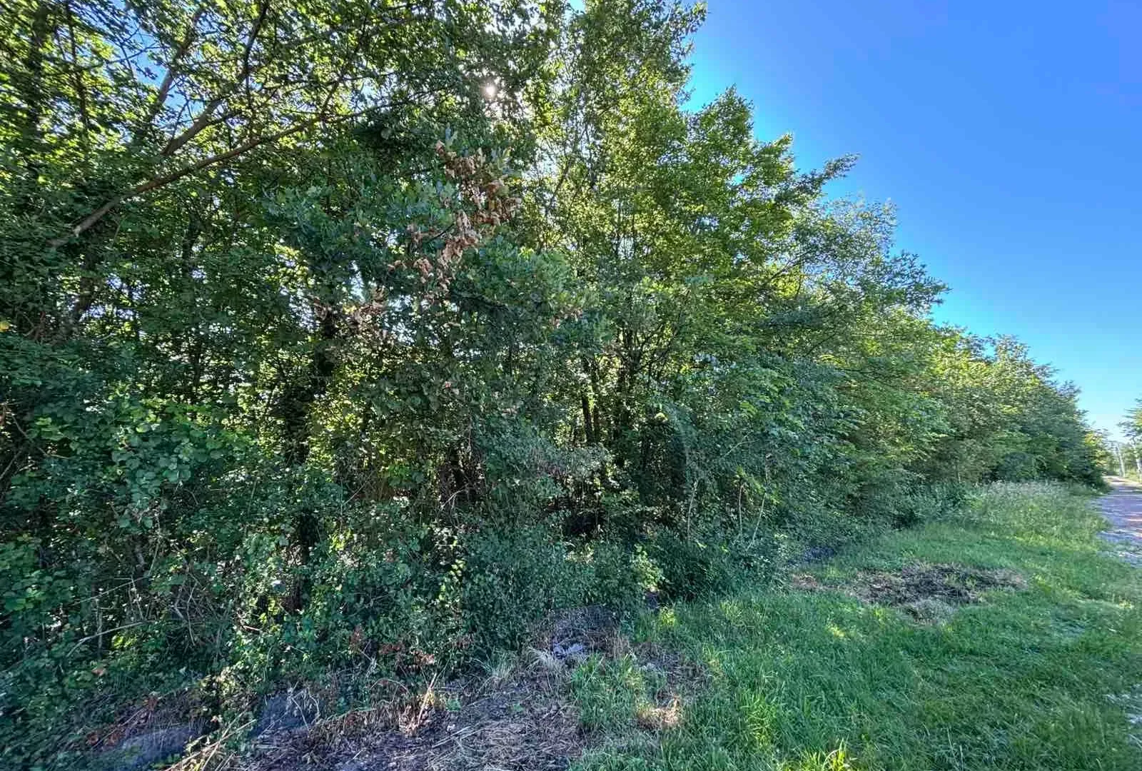 Prodaja, plac, 2386m², Kosić, Danilovgrad