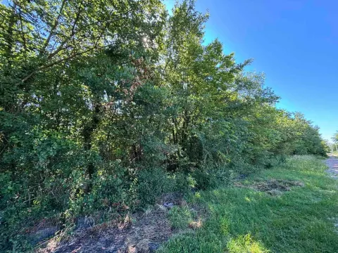 Prodaja, plac, 2386m², Kosić, Danilovgrad - image 2
