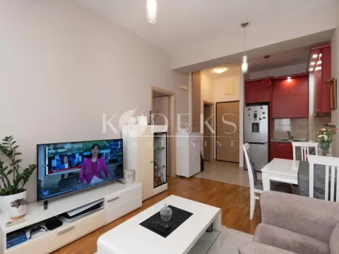 Izdavanje, jednosoban stan, 37m², Ljubović, Podgorica - image 7