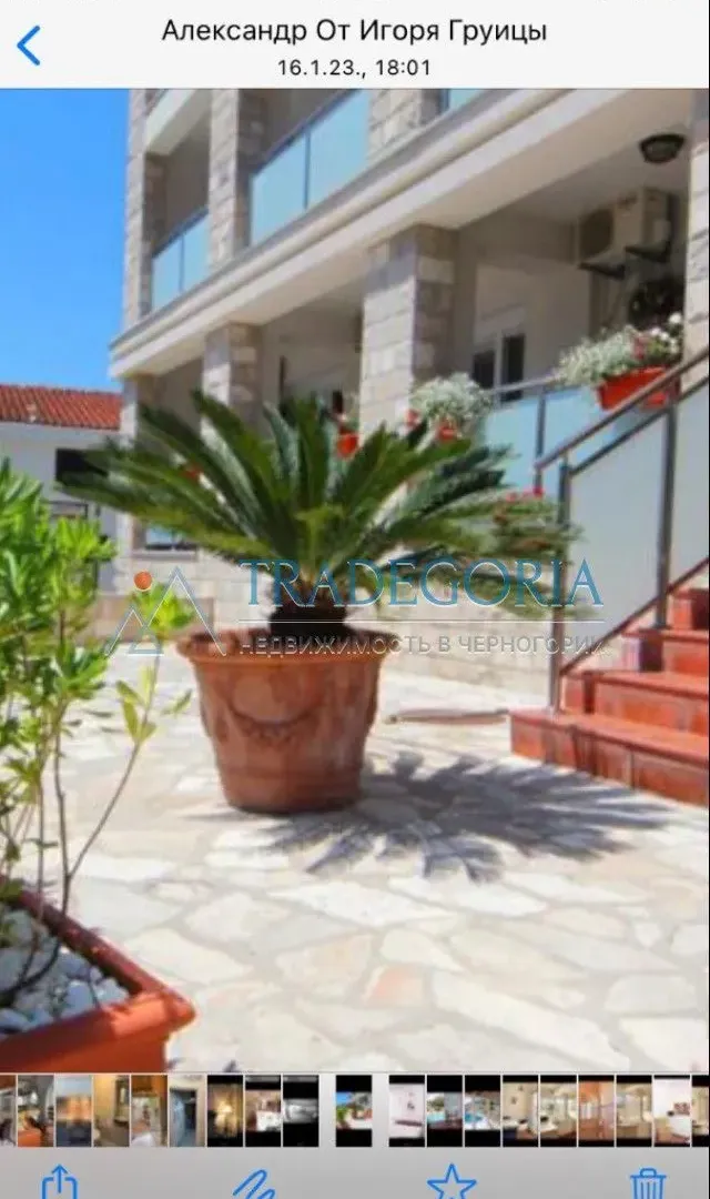 Prodaja, ugostiteljski objekat, 1200m², Bečići, Budva