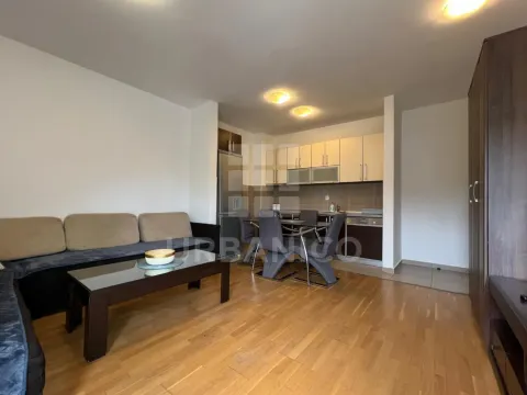 Rent, one bedroom apartment, 44m², Nova Dalmatinska, Podgorica - image 2