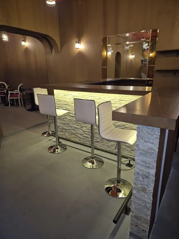 Izdavanje, poslovni prostor, 40m², Vračar Sve Podlokacije, Beograd