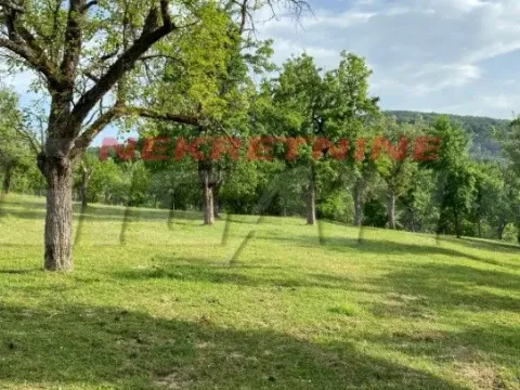 Prodaja, plac, 20000m², Lipova, Vrnjačka Banja - image 12