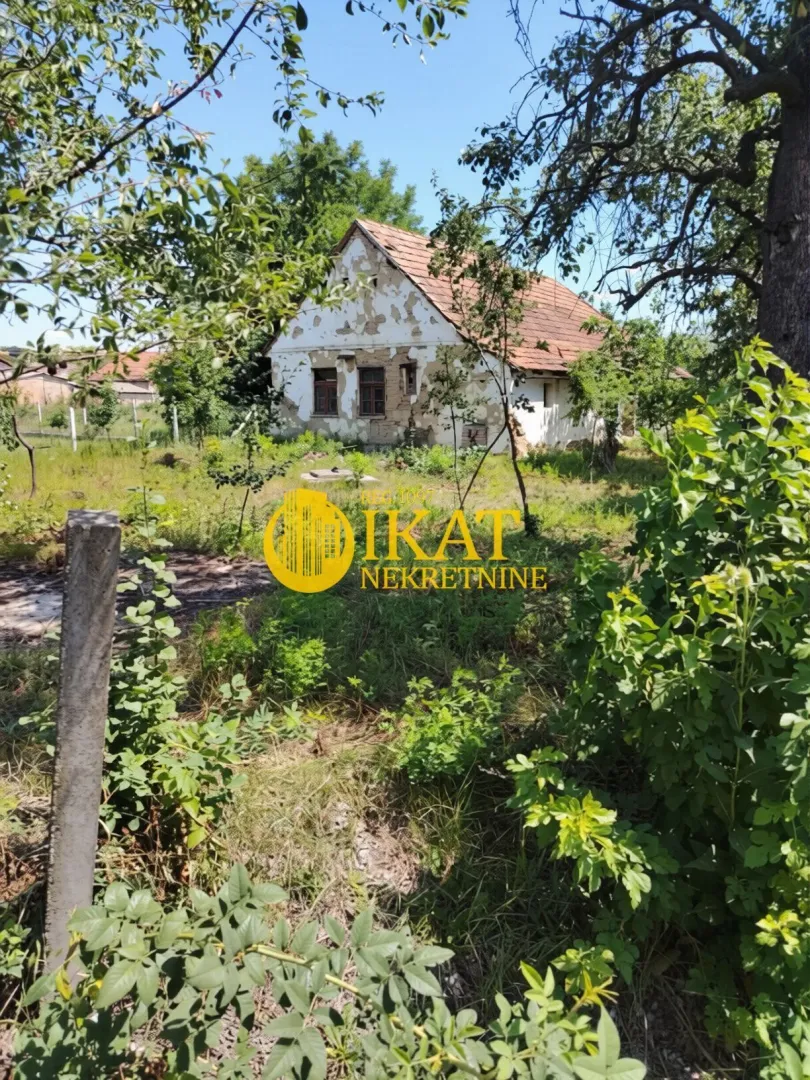Stara kuća okružena dvorištem i zelenilom.