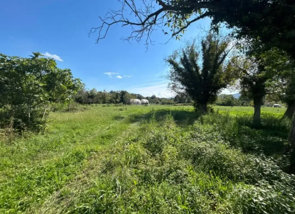 Prodaja, plac, 2737m², Kosić, Danilovgrad