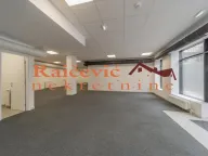 Izdavanje, poslovni prostor, 140m², Čukarica, Beograd - image 2