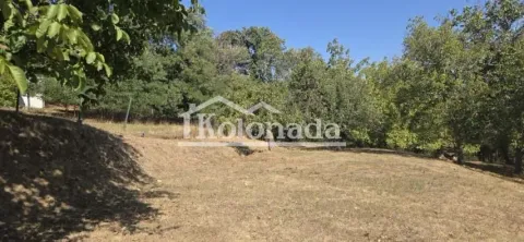 Pogled na prostrano dvorište sa drvećem i zelenilom. - image 4