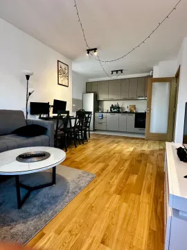 Rent, one bedroom apartment, 59m², Central Point, Podgorica - image 969