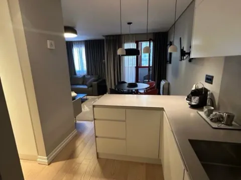 Izdavanje, jednosoban stan, 54m², Preko Morače, Podgorica - image 6