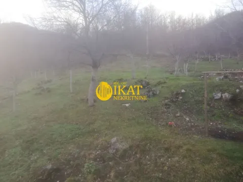 Prodaja, plac, 1850m², Predov krst, Tara - image 1