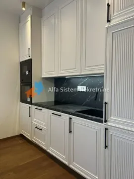 Izdavanje, dvosoban stan, 50m², Stari Grad, Beograd - image 7