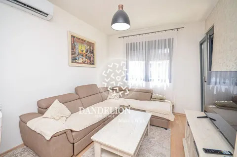 Rent, one bedroom apartment, 59m², Central Point, Podgorica - image 1058