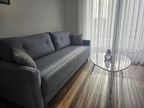 Rent, studio apartment, 26m², Velika Plaža, Ulcinj - image 6