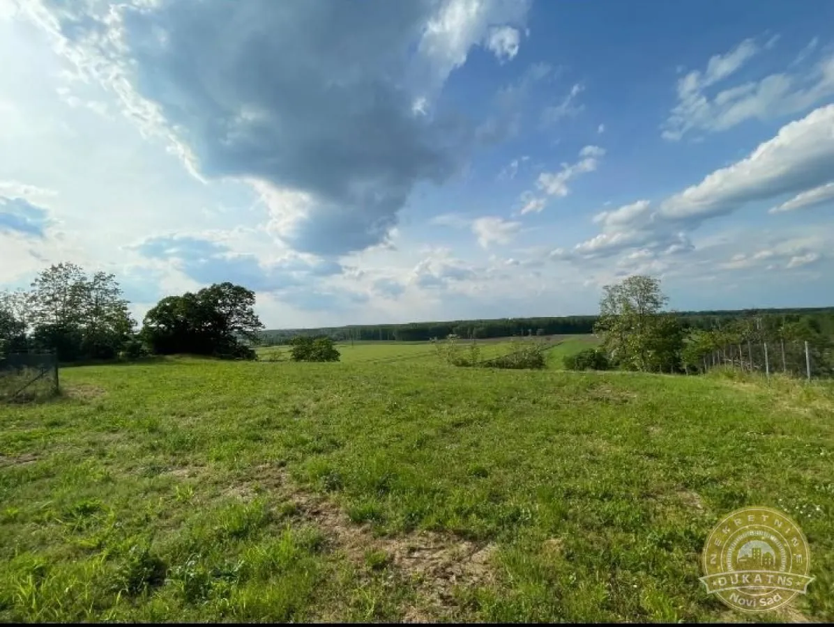 Prodaja, plac, 2400m², Rakovac, Novi Sad Sve Podlokacije