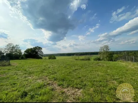 Prodaja, plac, 2400m², Rakovac, Novi Sad Sve Podlokacije - image 4