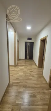 Stan in Pantelej
