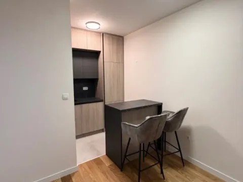 Izdavanje, jednosoban stan, 47m², Central Point, Podgorica - image 11