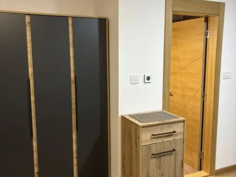 Izdavanje, garsonjera, 28m², Bulevar Oslobodjenja, Novi Sad Sve Podlokacije - image 12